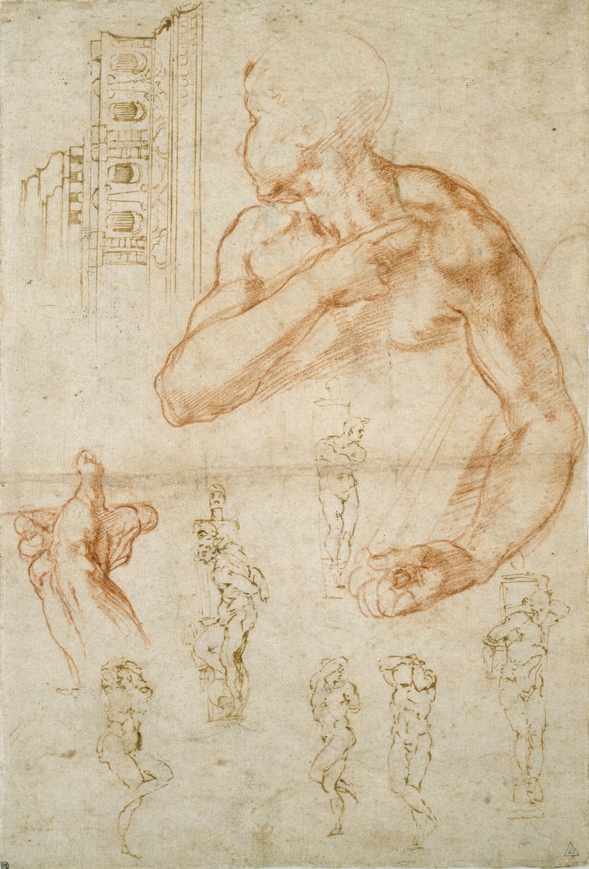 Verschillende Studies voor het Sixtijnse Plafond en het Graf van Paus Julius II, c1490-1560 door Michelangelo Buonarroti