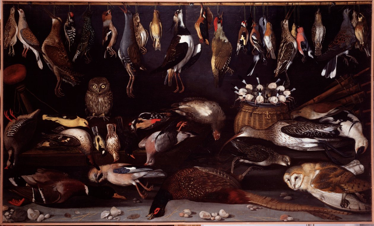 Stilleven met vogels door Michelangelo Merisi da (attr. to) Caravaggio