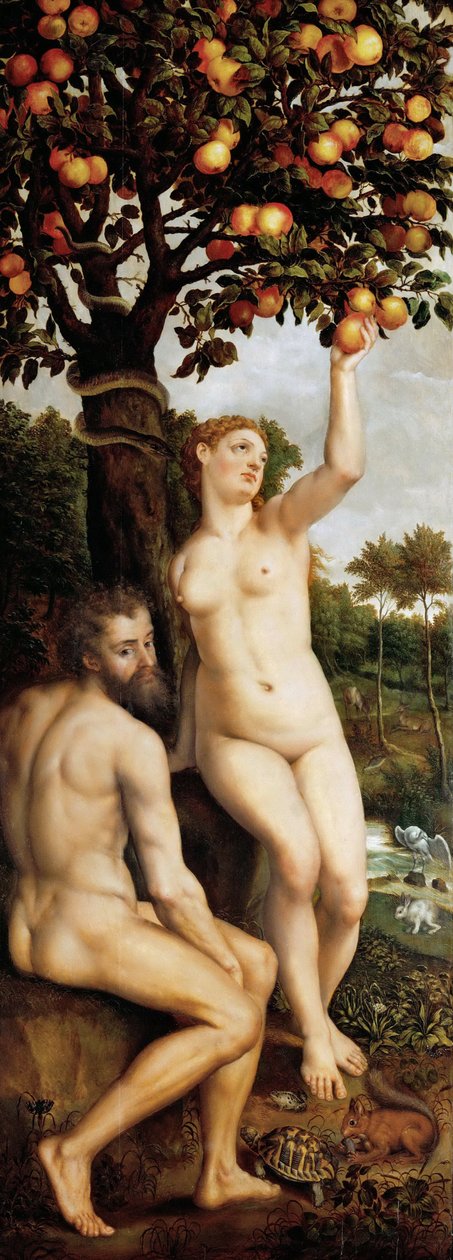 De val van de mens door Michiel I Coxie or Coxcie
