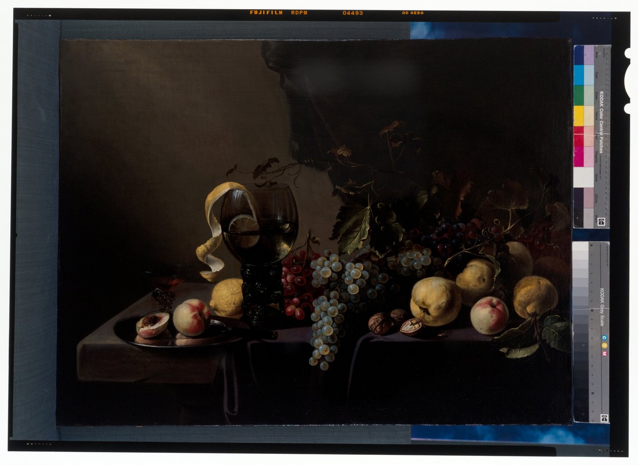 Stilleven met fruit en druiven door Michiel Simons