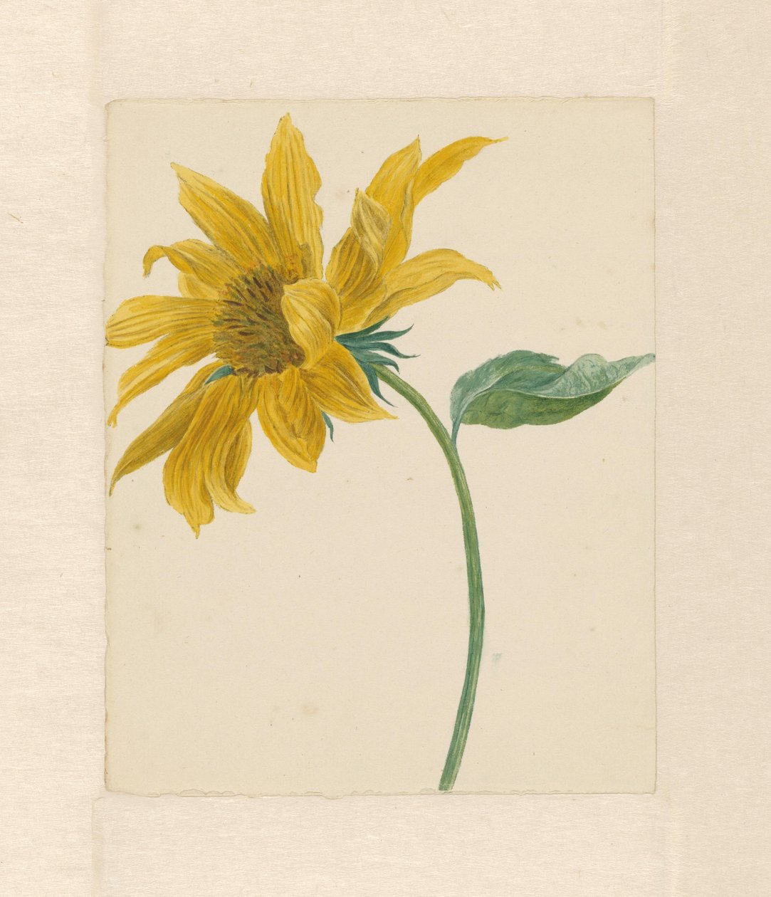 Tak met een zonnebloem door Michiel Van Huysum