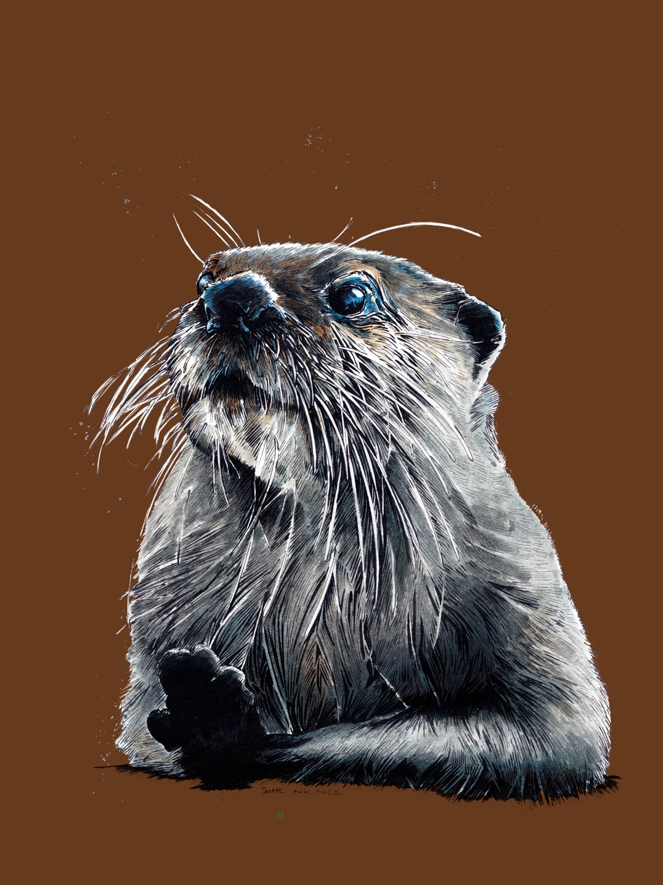 De Otter op Gebrand Oranje, 2020 door Mike Davis