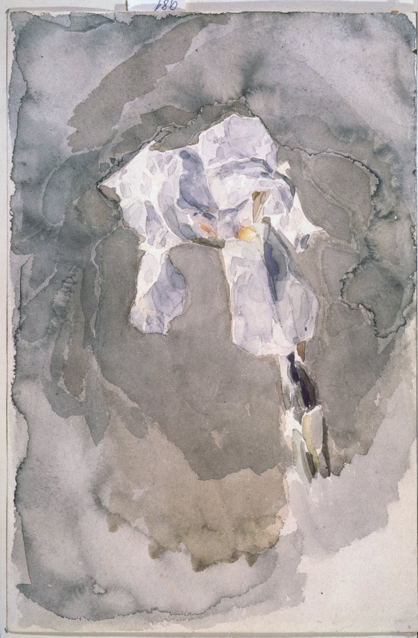 Witte iris door Mikhail Aleksandrovich Vrubel
