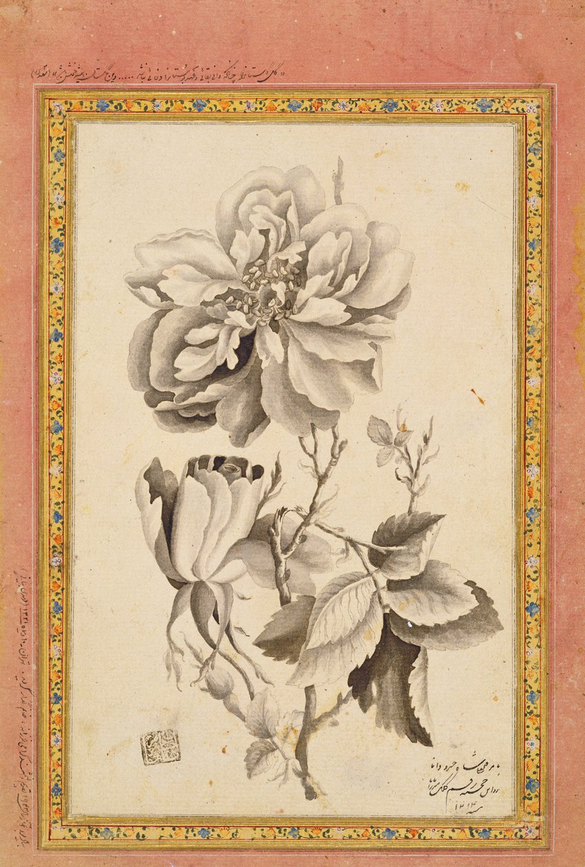 Roos, 1799-1800 door Mirza Baba
