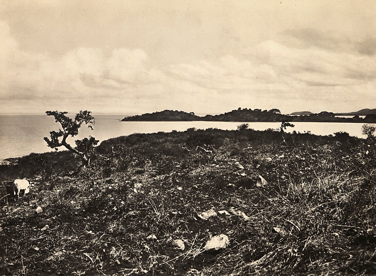 Het bouwen van een rijk in het fascistische tijdperk: Meer Tana. Ethiopië, 09/05/1936 door Modestino Baldinetti