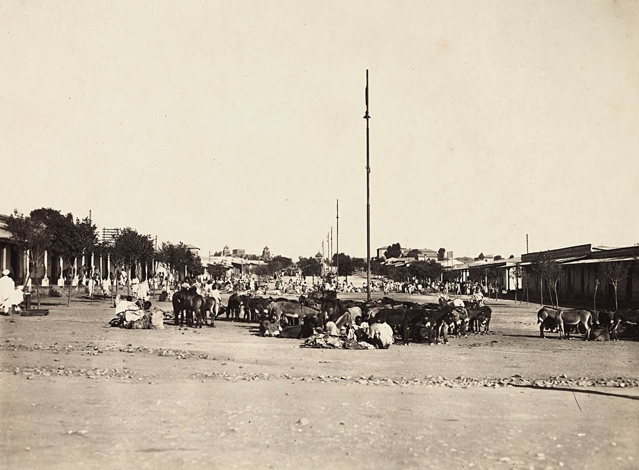 Het bouwen van een rijk in het fascistische tijdperk: het oude marktplein van Asmara, 09/05/1936 door Modestino Baldinetti