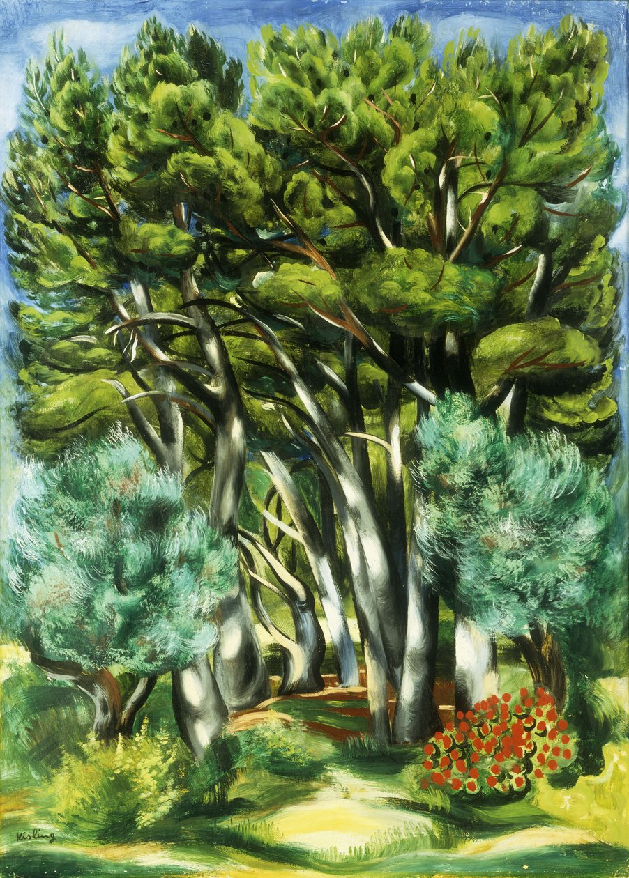 Landschap door Moise Kisling