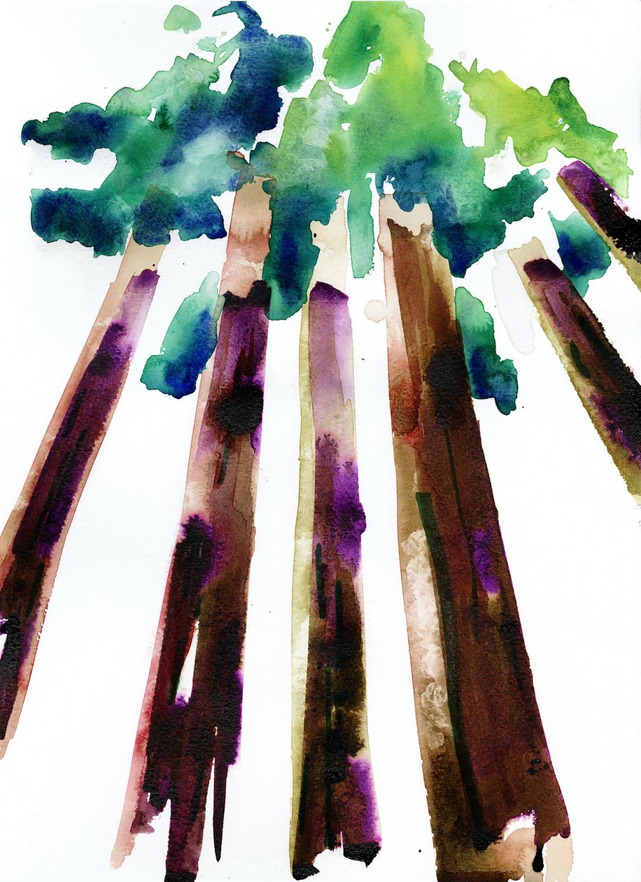 Sequoia, 2021 door Monica Perez Vega