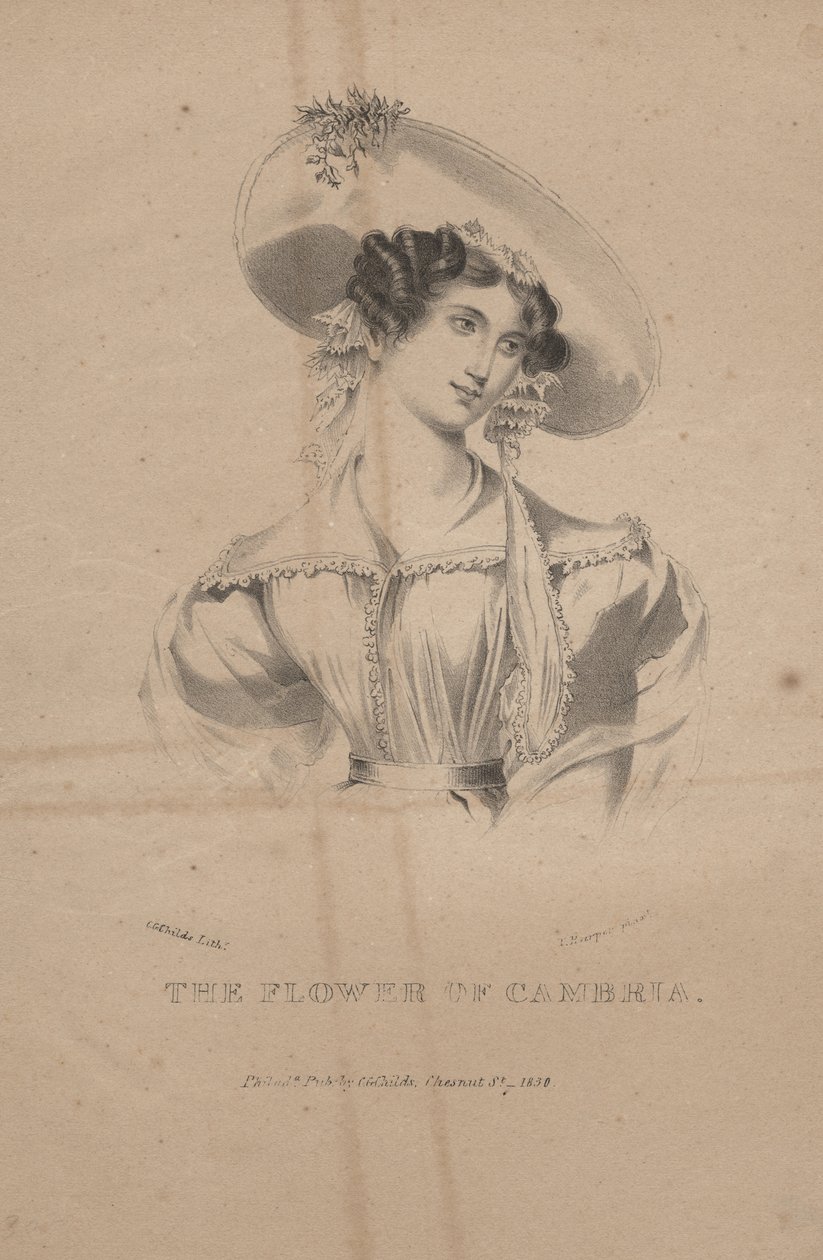 De bloem van Cambria, litho door C.G. Childs door Moses Swett