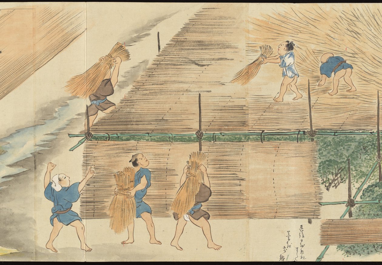 Illustraties van Uji theeproductie door Motonari Sait?