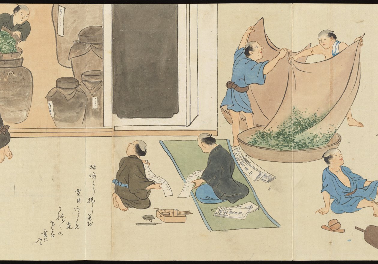 Illustraties van Uji theeproductie door Motonari Sait?