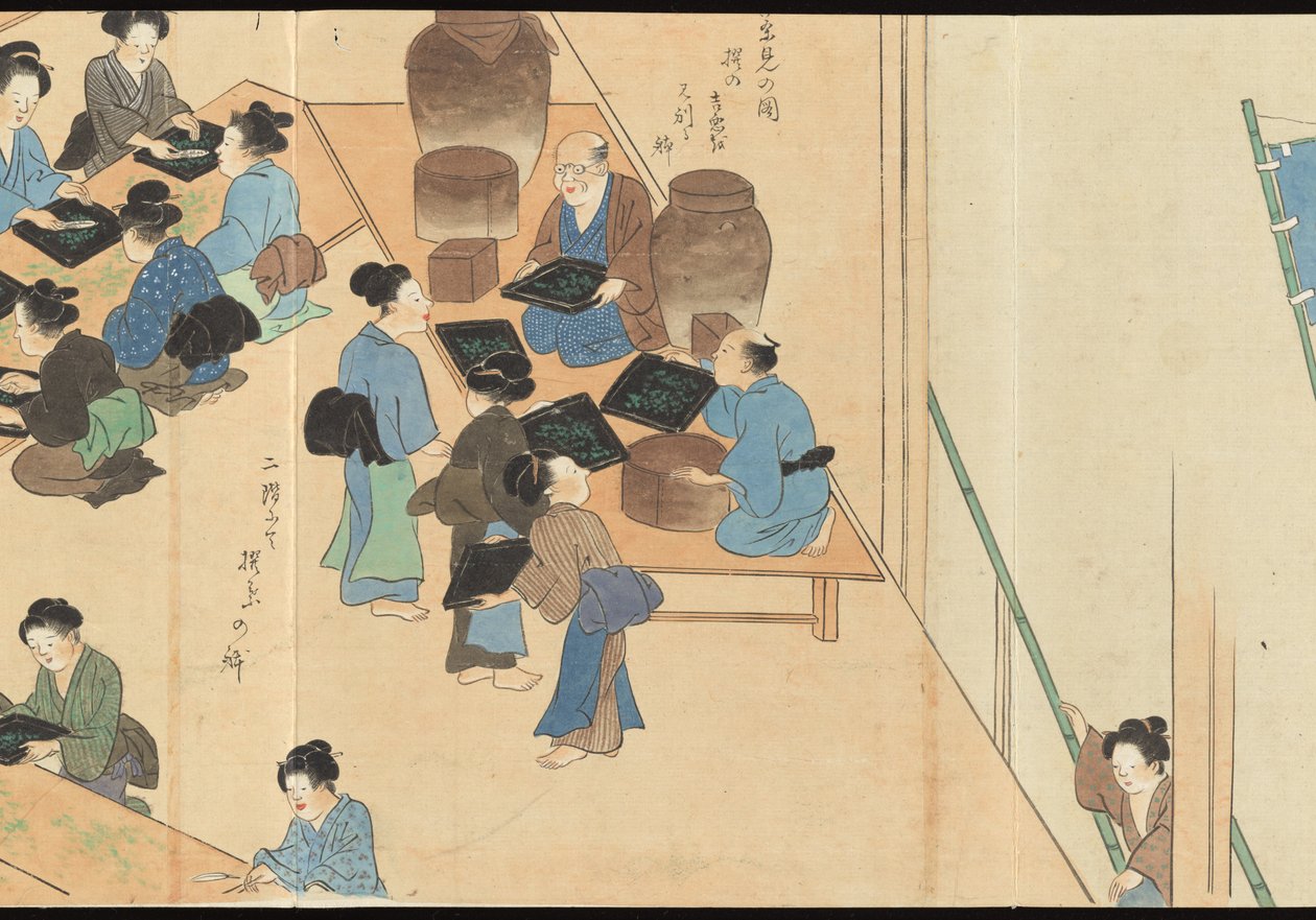 Illustraties van Uji theeproductie door Motonari Sait?