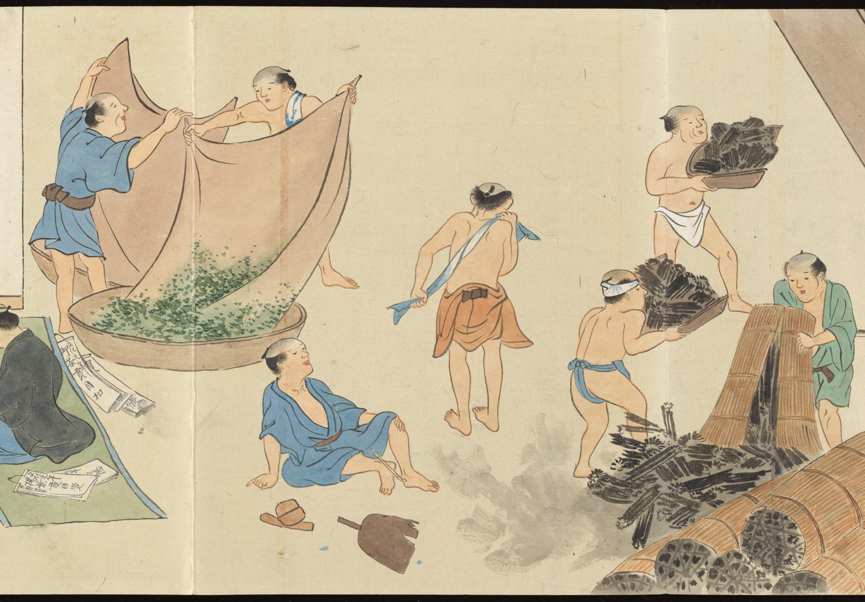 Illustraties van Uji theeproductie door Motonari Sait?