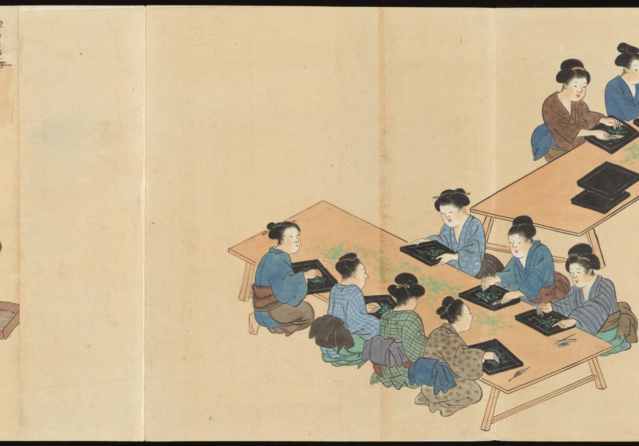 Illustraties van Uji theeproductie door Motonari Sait?