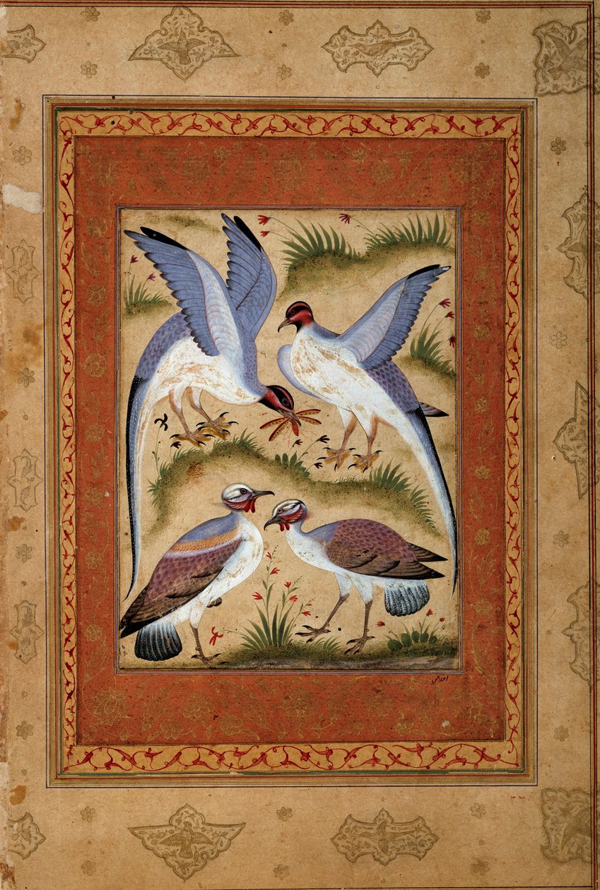 Vogels. Miniatuur gouache van de Mogolse school. 1590-1600. Parijs, Guimet Museum, Nationaal Museum voor Aziatische Kunsten door Mughal School