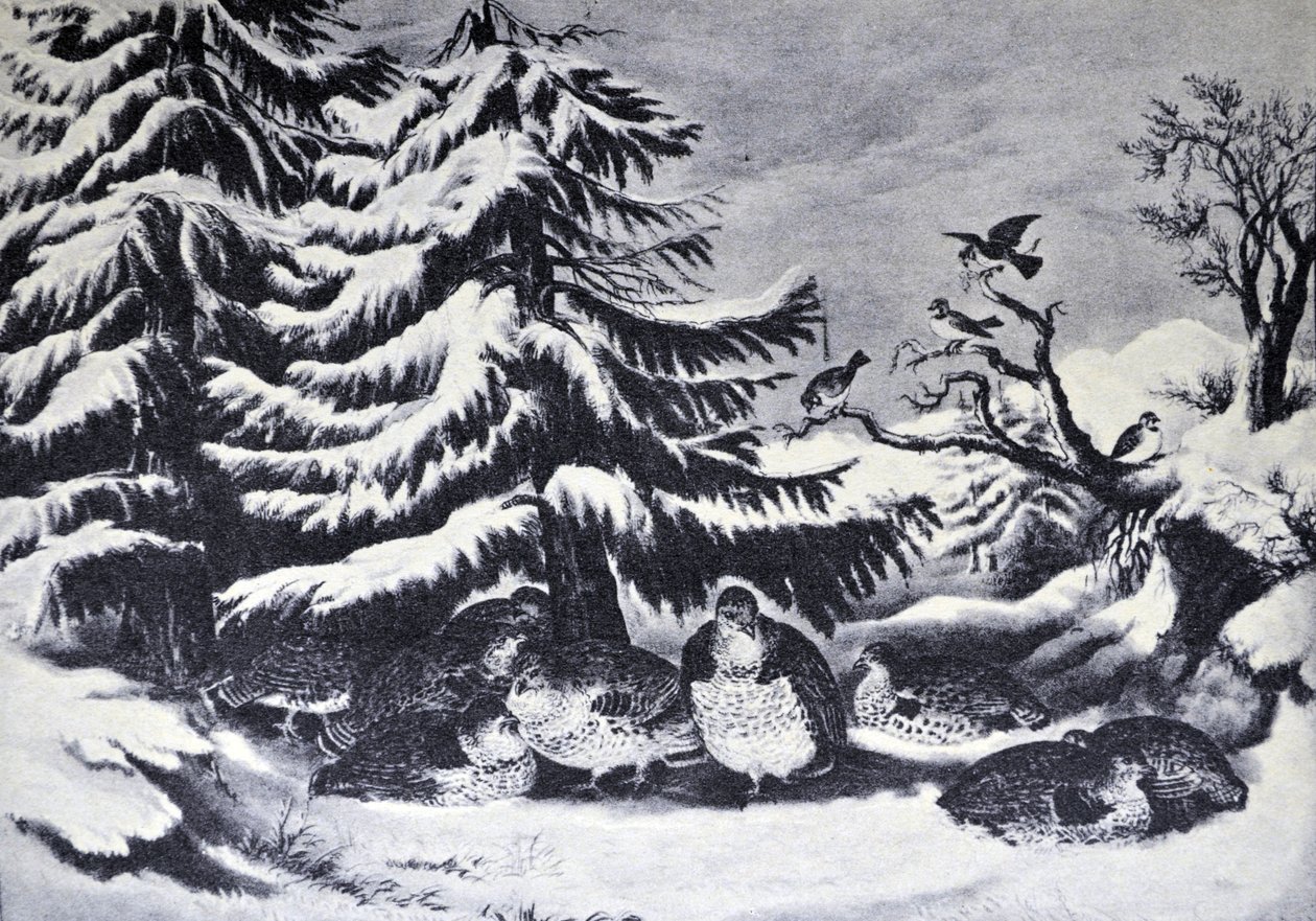 Ingesneeuwd, Ruffed Grouse in de Winter door N. and Ives, J.M. Currier