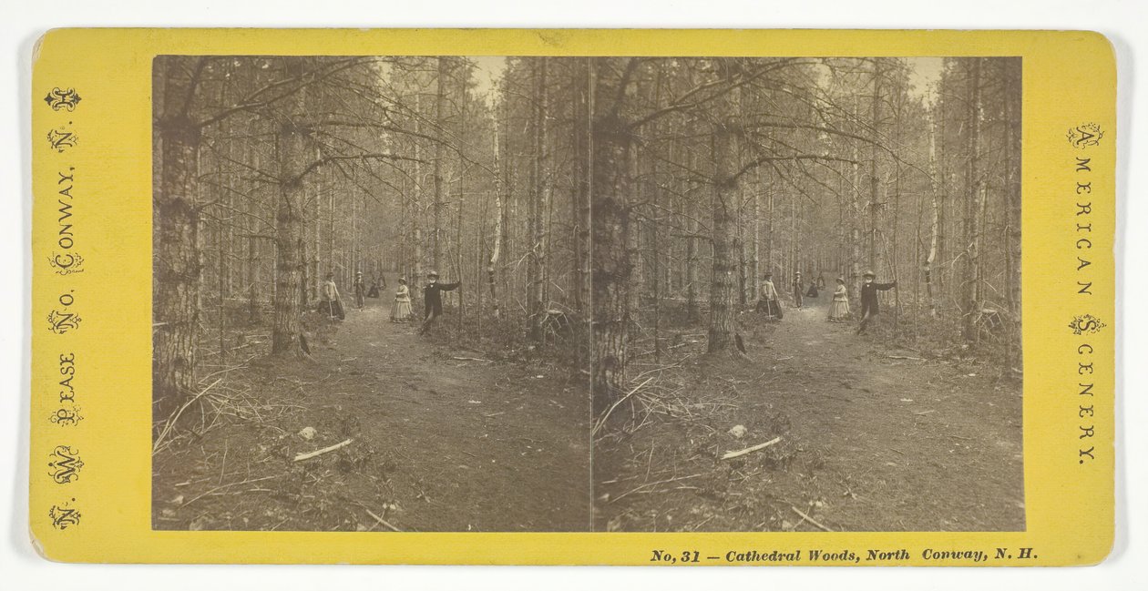 Kathedraalbossen, North Conway, N.H., midden 19e eeuw door N.W. Pease