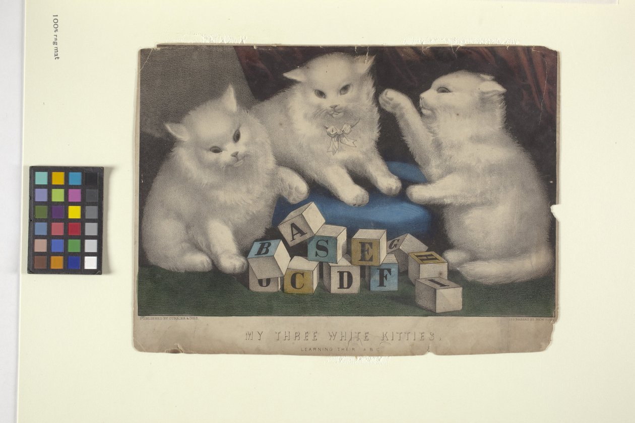 Mijn drie witte kittens door N. and Ives J.M. (1824 95) Currier
