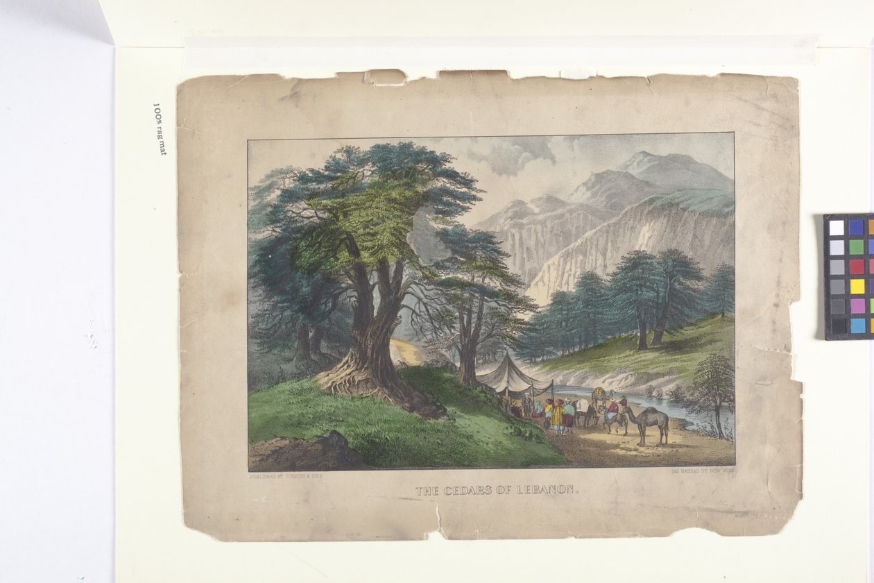 De ceders van Libanon door N. and Ives J.M. (1824 95) Currier