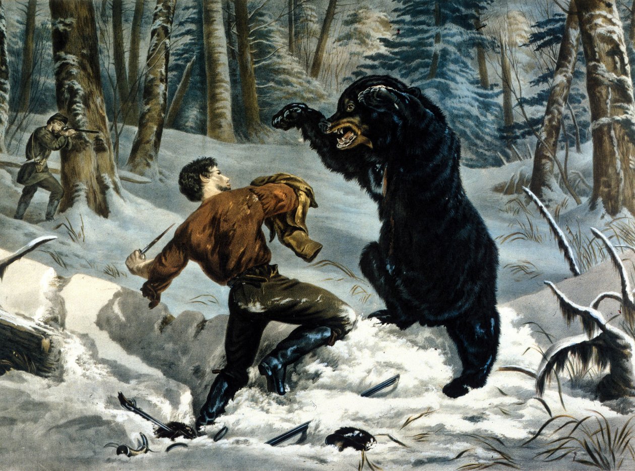 Het leven van trappers (professionele jagers) in Canada: een jager wordt aangevallen door een grizzlybeer. Illustratie door Yves en Currier. door Currier and Ives