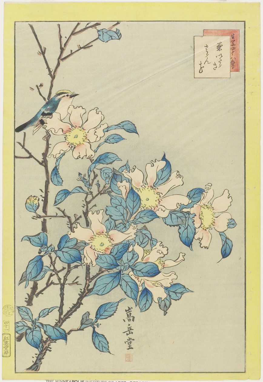 Blauwe vogel en roze bloemen, 1859 door Nakayama Sugakudo