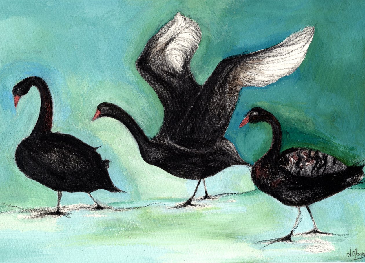 Een Ballet van Zwarte Zwanen, 2013 door Nancy Moniz Charalambous
