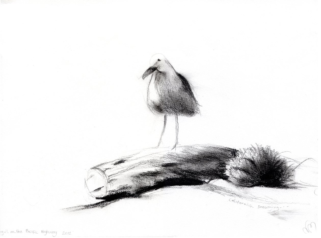 Californische meeuw, 2012 door Nancy Moniz Charalambous