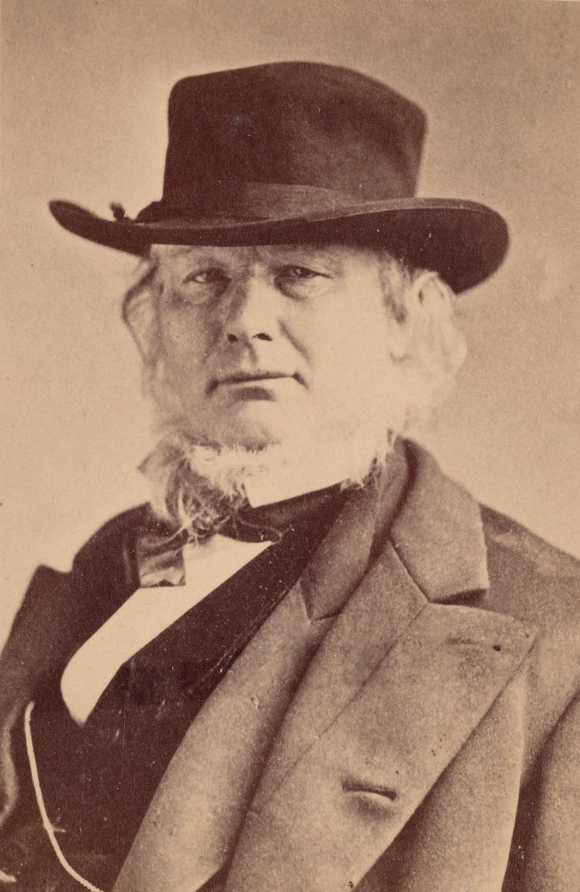 Portret van Horace Greeley 1811-1872, 1869 door Napoleon Sarony