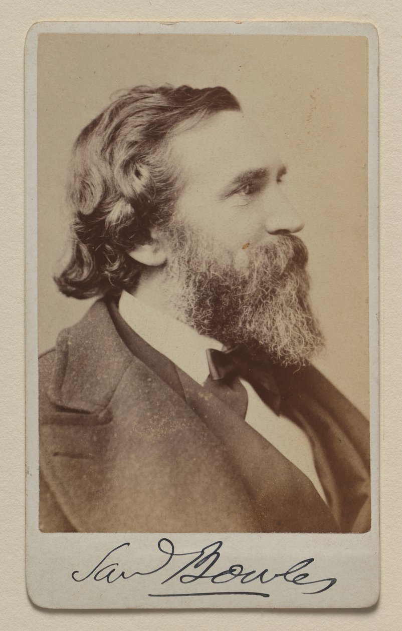 Samuel Bowles II door Napoleon Sarony