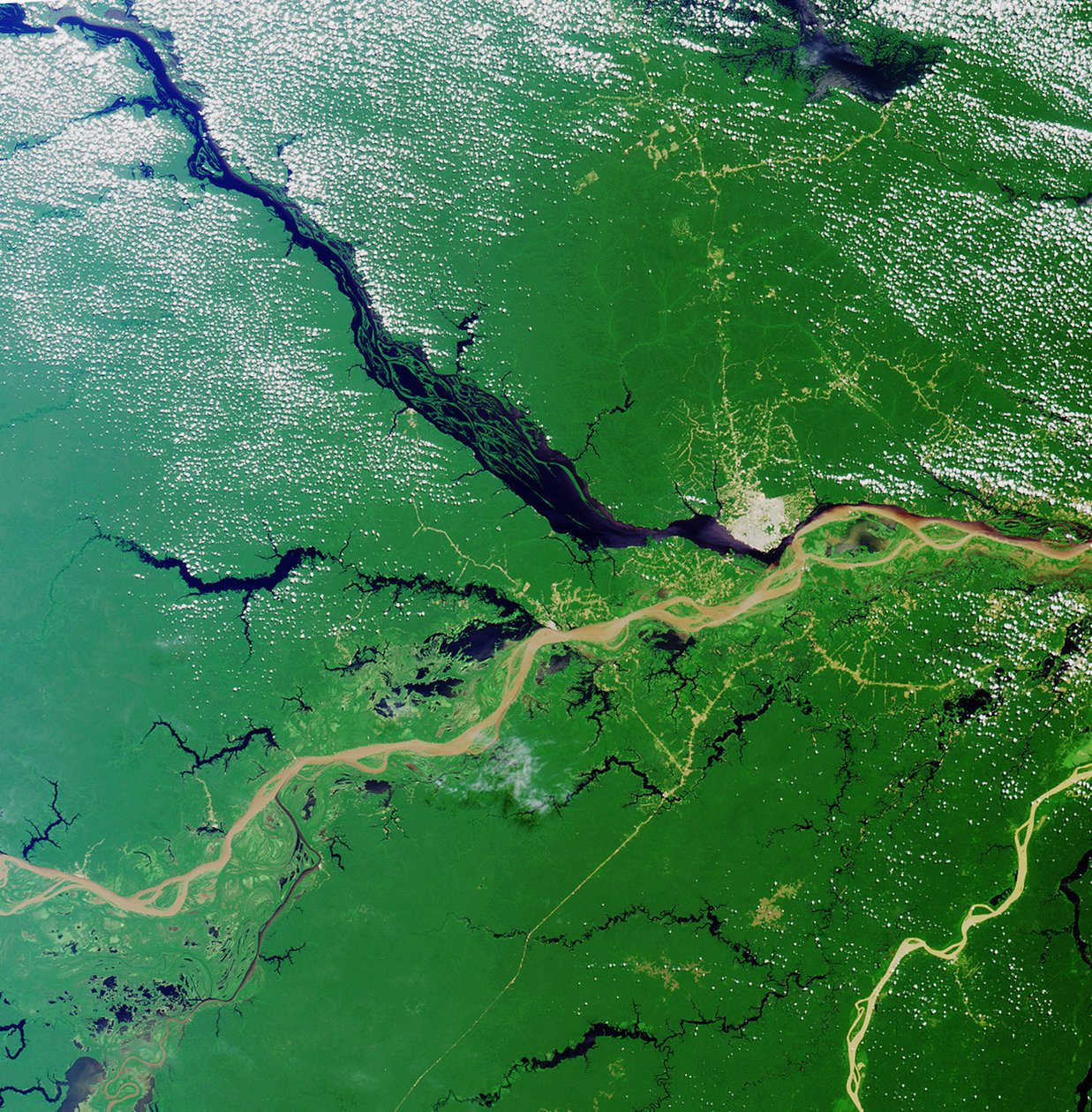 Samenvloeiing van de Rio Solimoes en de Rio Negro nabij Manaus, Brazilië, om de Amazone te vormen, de grootste rivier op aarde. Satellietbeeld 23 juli 2000. door National Aeronautics and Space Administration National Aeronautics and Space Administration