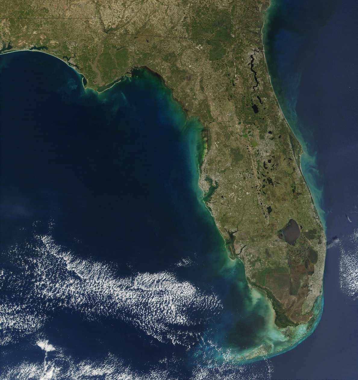 In dit satellietbeeld is de bloei van de giftige alg Karenia brevis zichtbaar langs de westkust van Florida. door National Aeronautics and Space Administration National Aeronautics and Space Administration