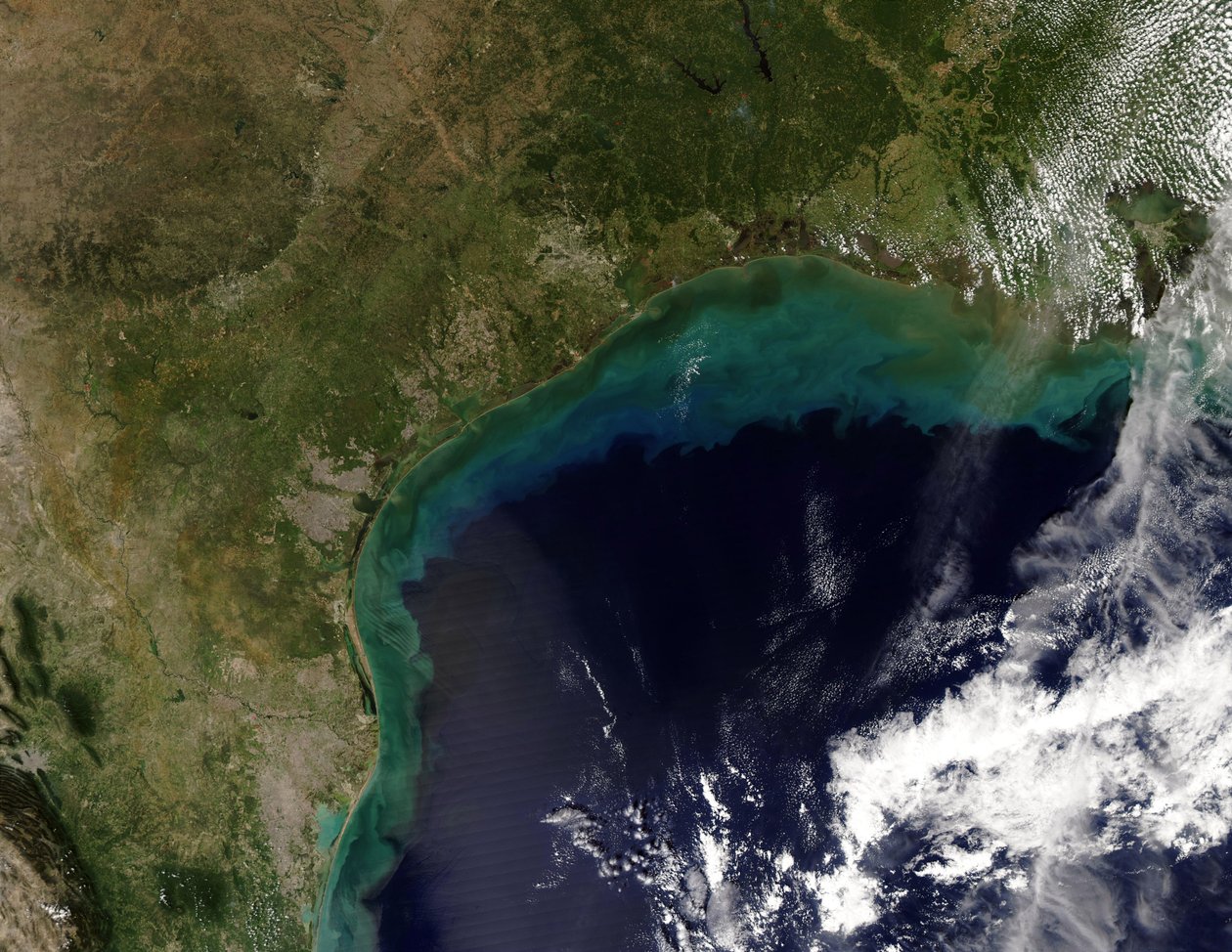 Satellietbeeld van de Golfkust, VS - Tamaulipas, Mexico, tot New Orleans, Louisiana. door National Aeronautics and Space Administration National Aeronautics and Space Administration