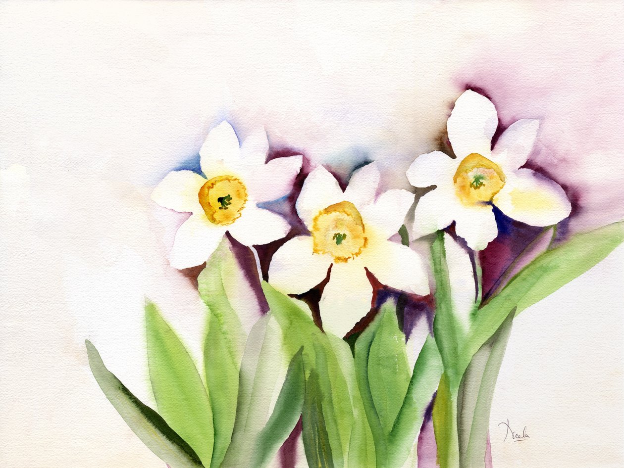 Drie narcissen door Neela Pushparaj
