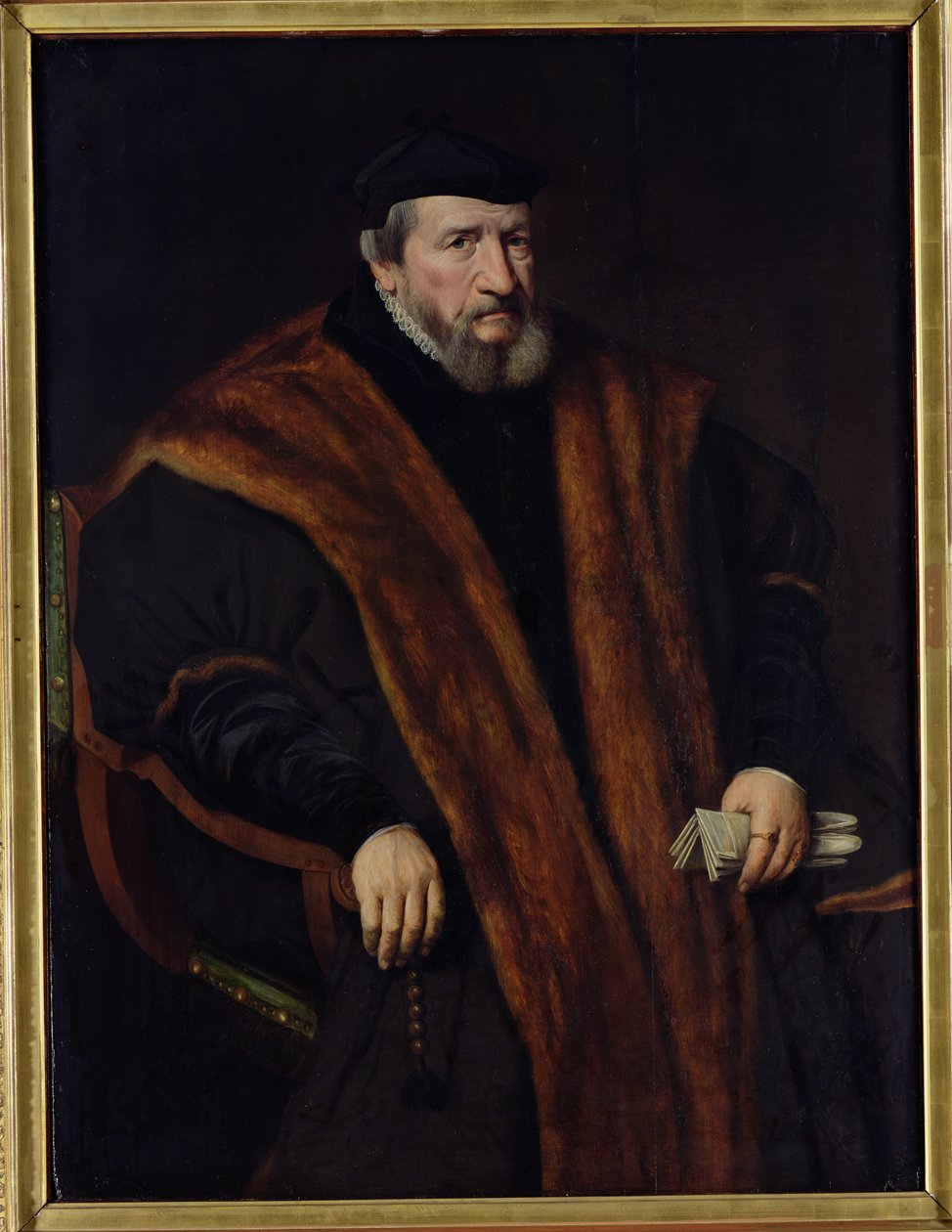 Portret van een man, 1564 door Netherlandish School