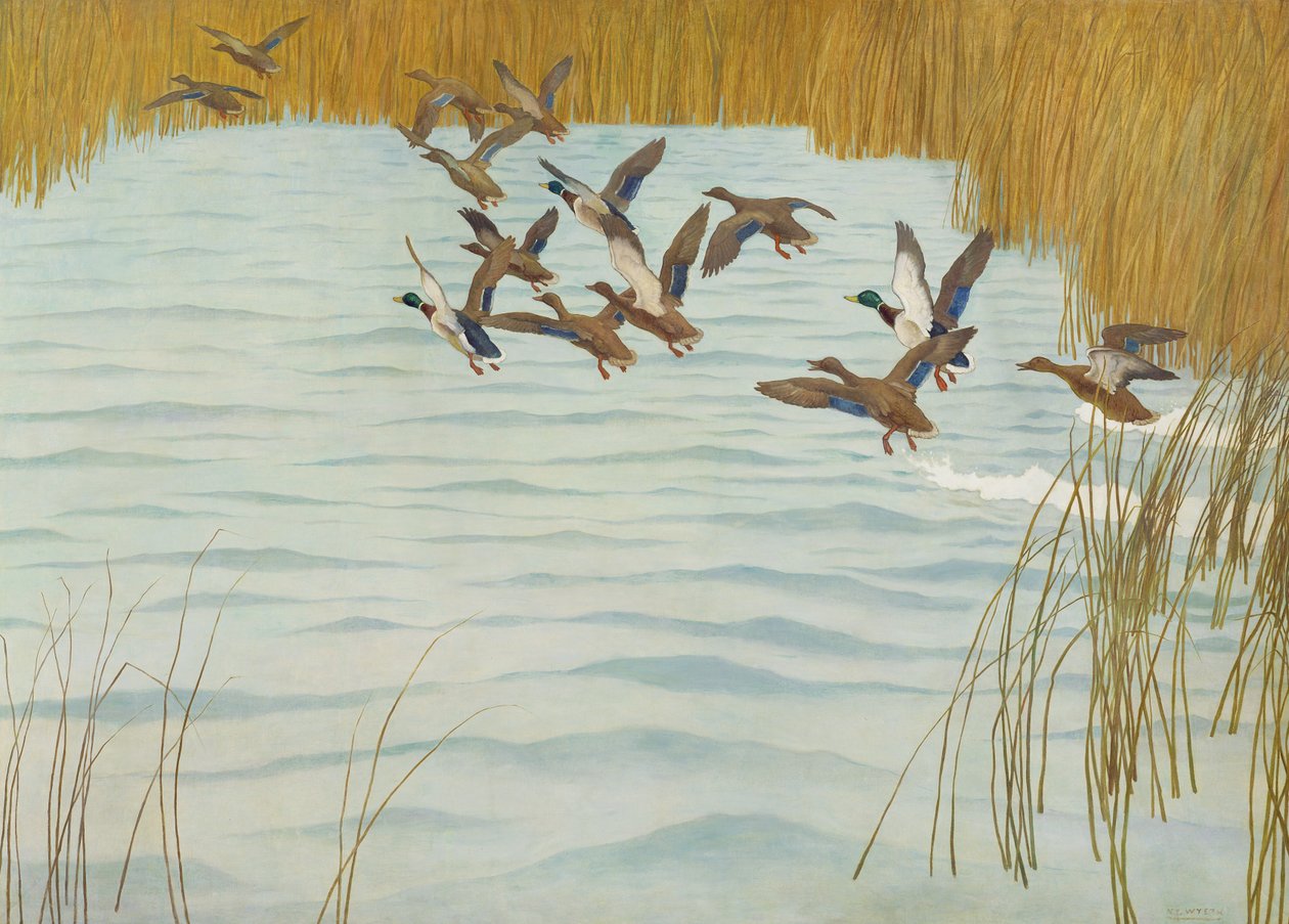 Wilde Eenden in de Herfst door Newell Convers Wyeth