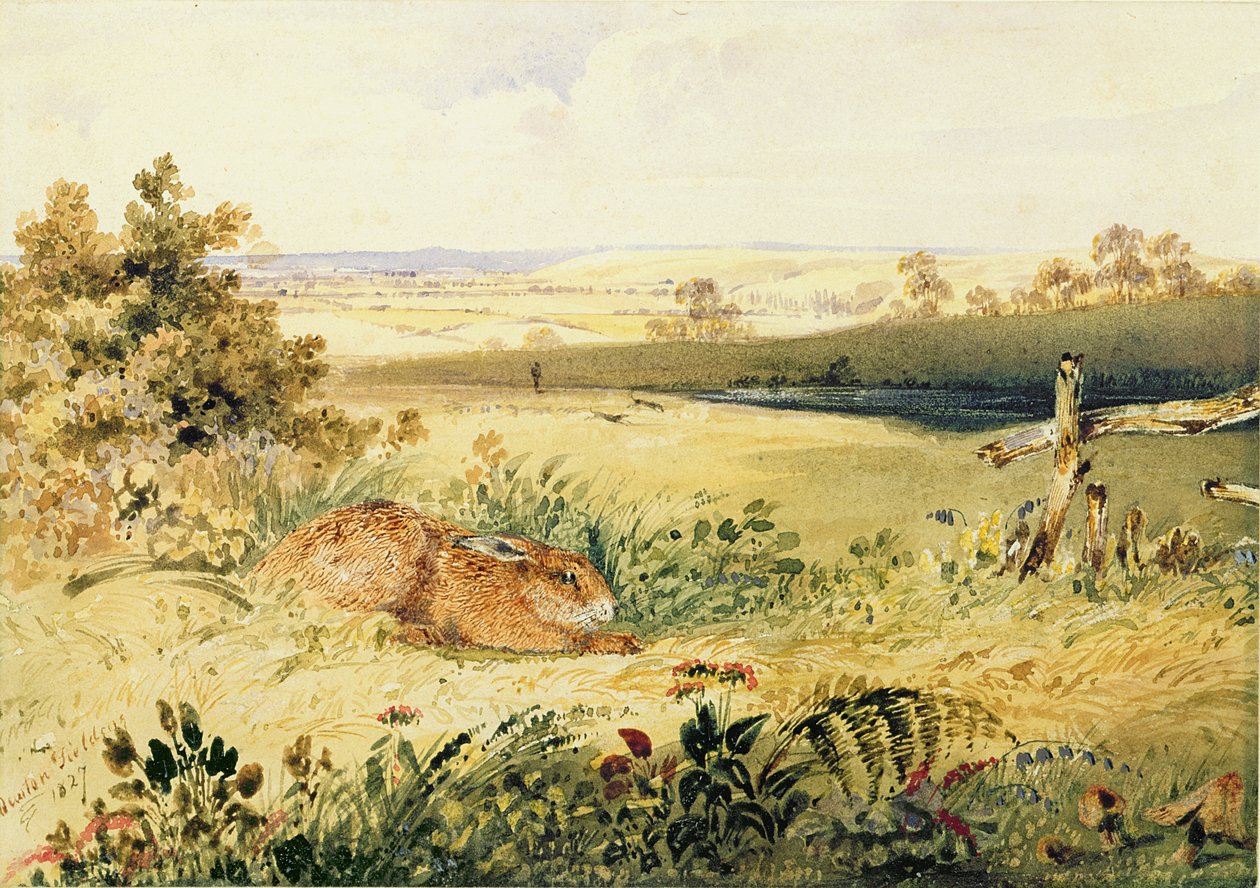 Haas in een Landschap, 1827 door Newton Fielding