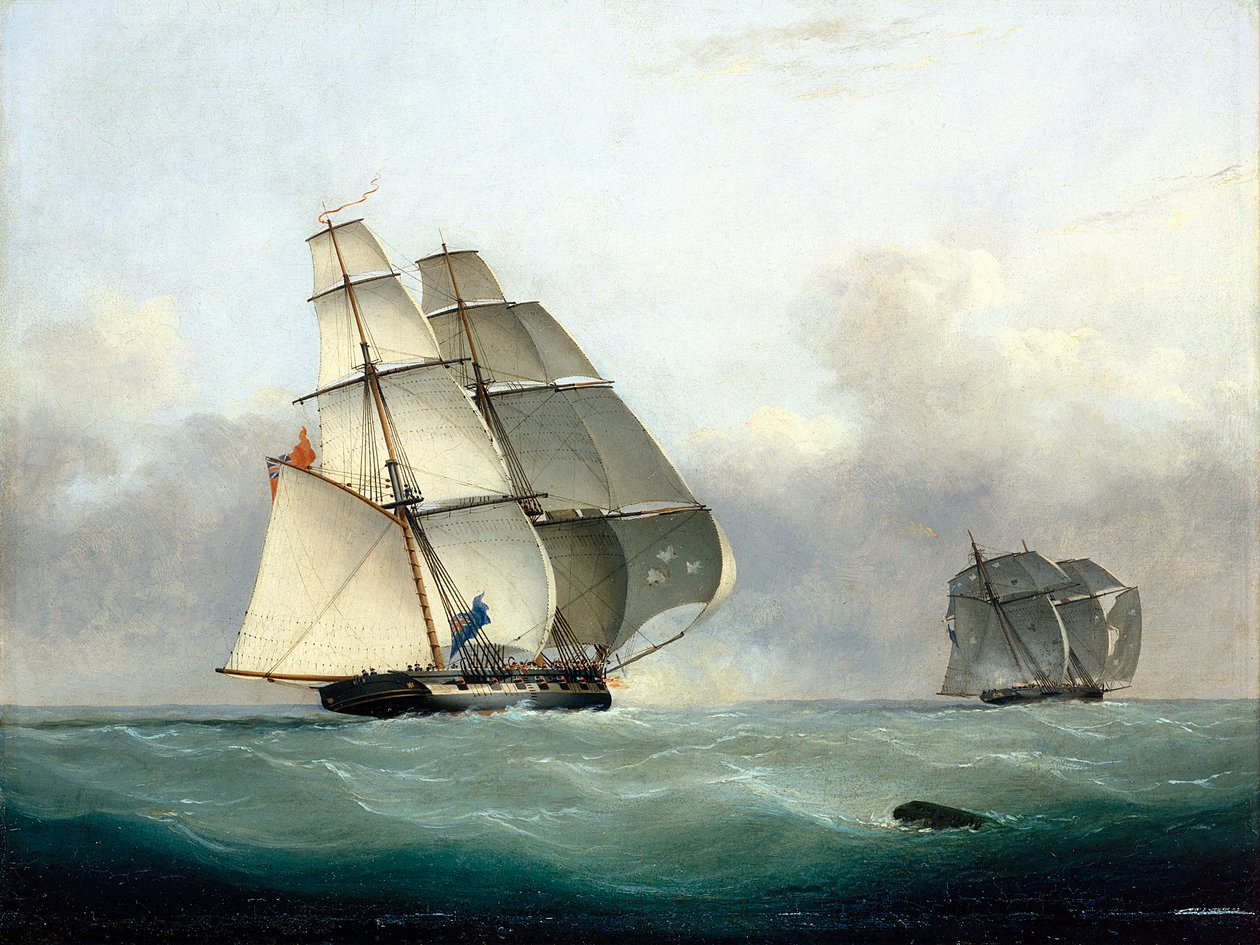 De verovering van de slavenhaler 
