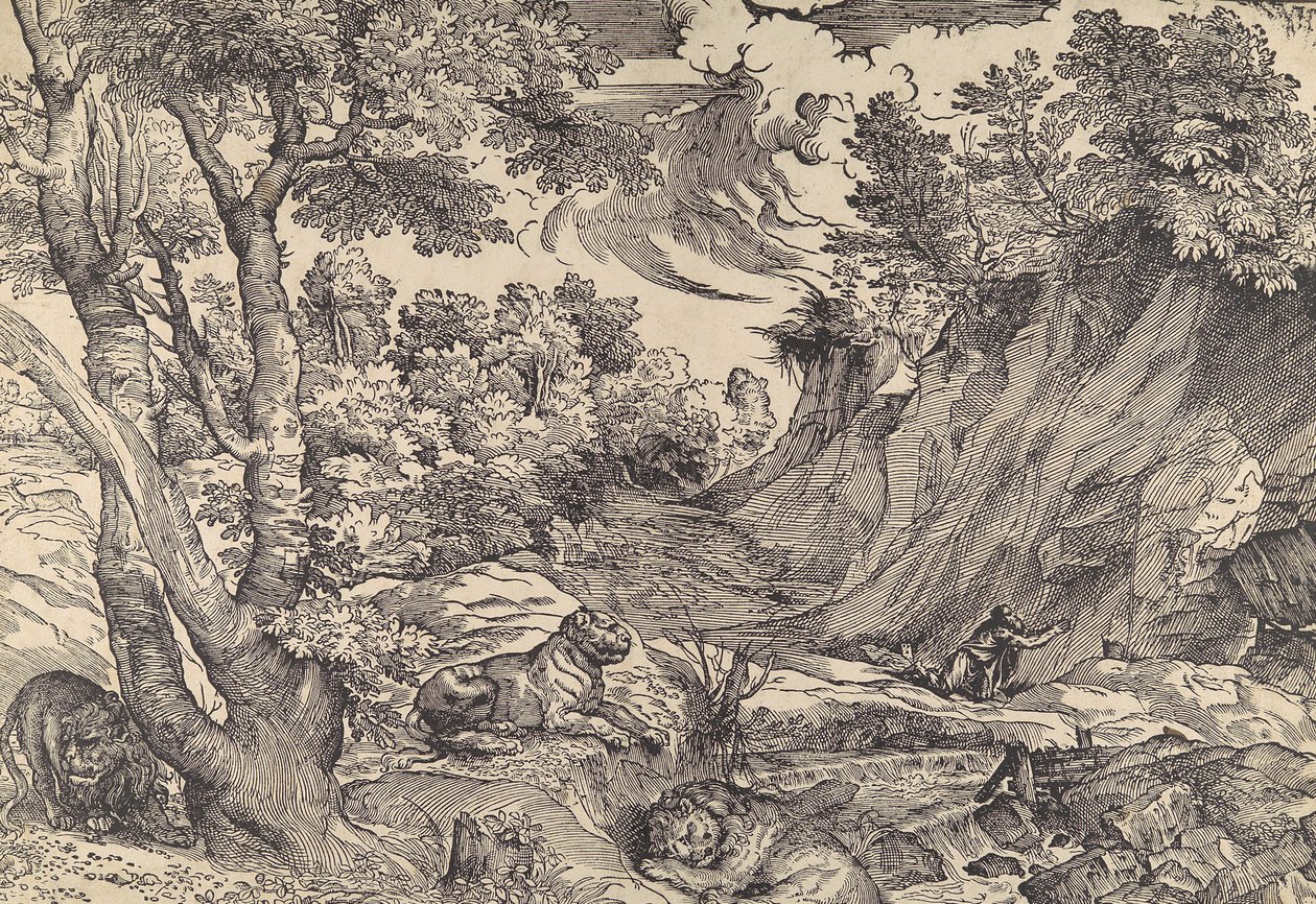 St. Hiëronymus in de wildernis door Nicolò Boldrini.