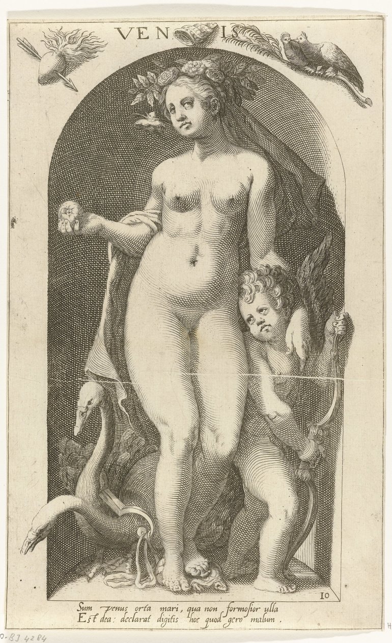 Venus door Nicolaas Braeu
