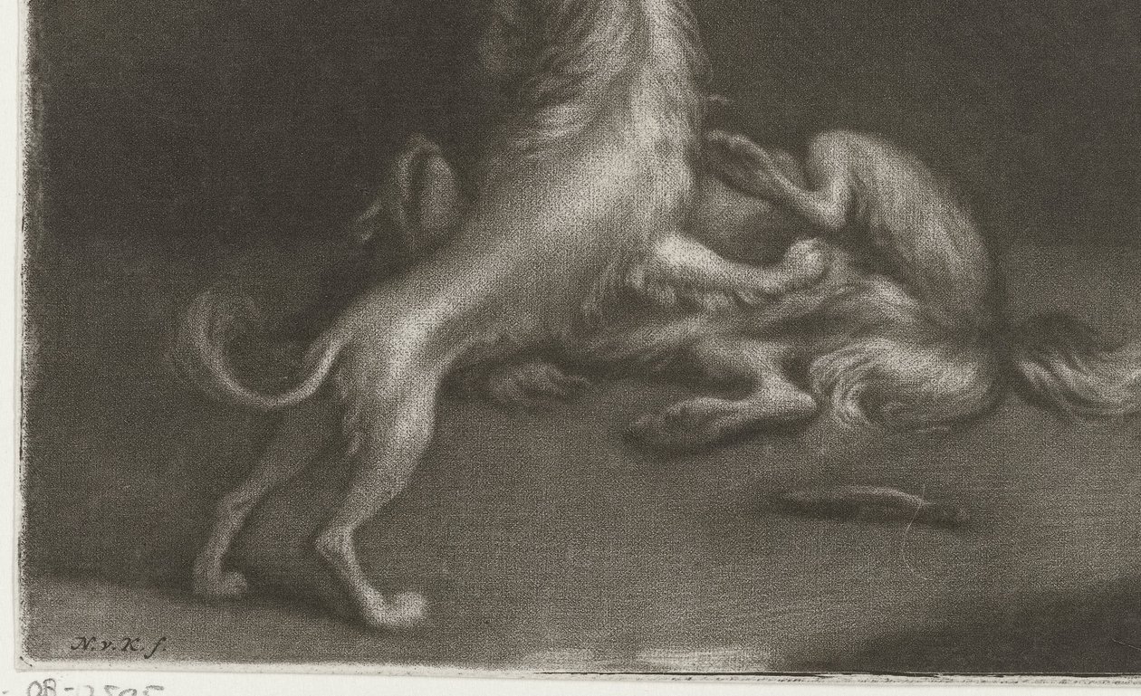 Twee spelende honden door Nicolaas Verkolje