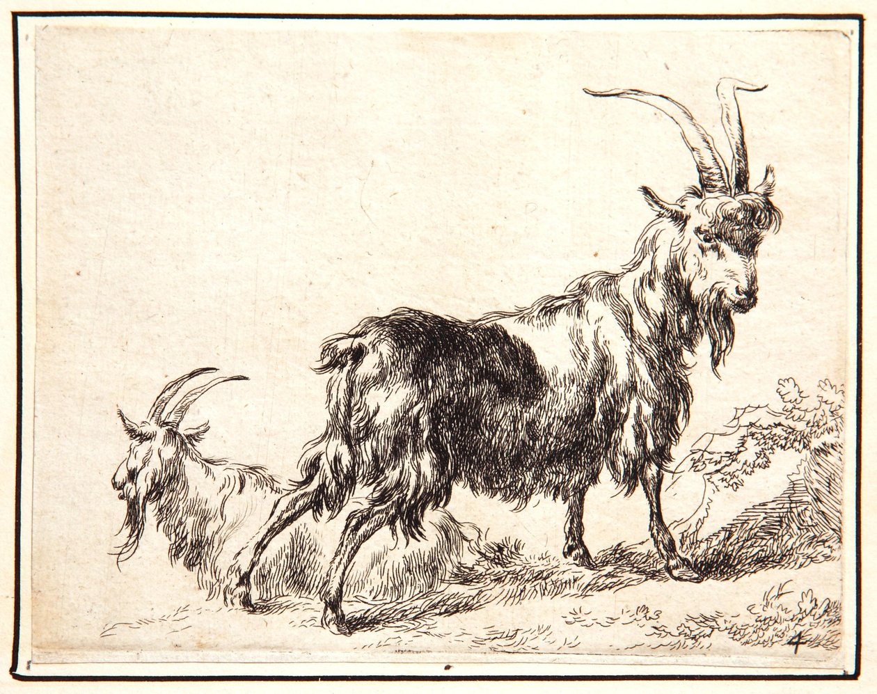 Geiten door Nicolaes Pietersz. Berchem