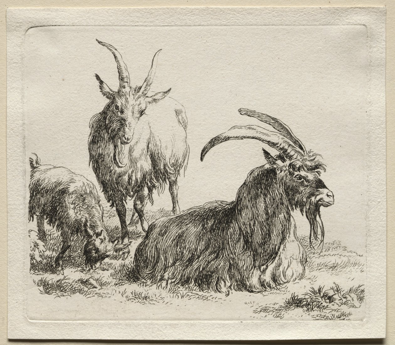 Dieren: Drie Geiten door Nicolaes Berchem