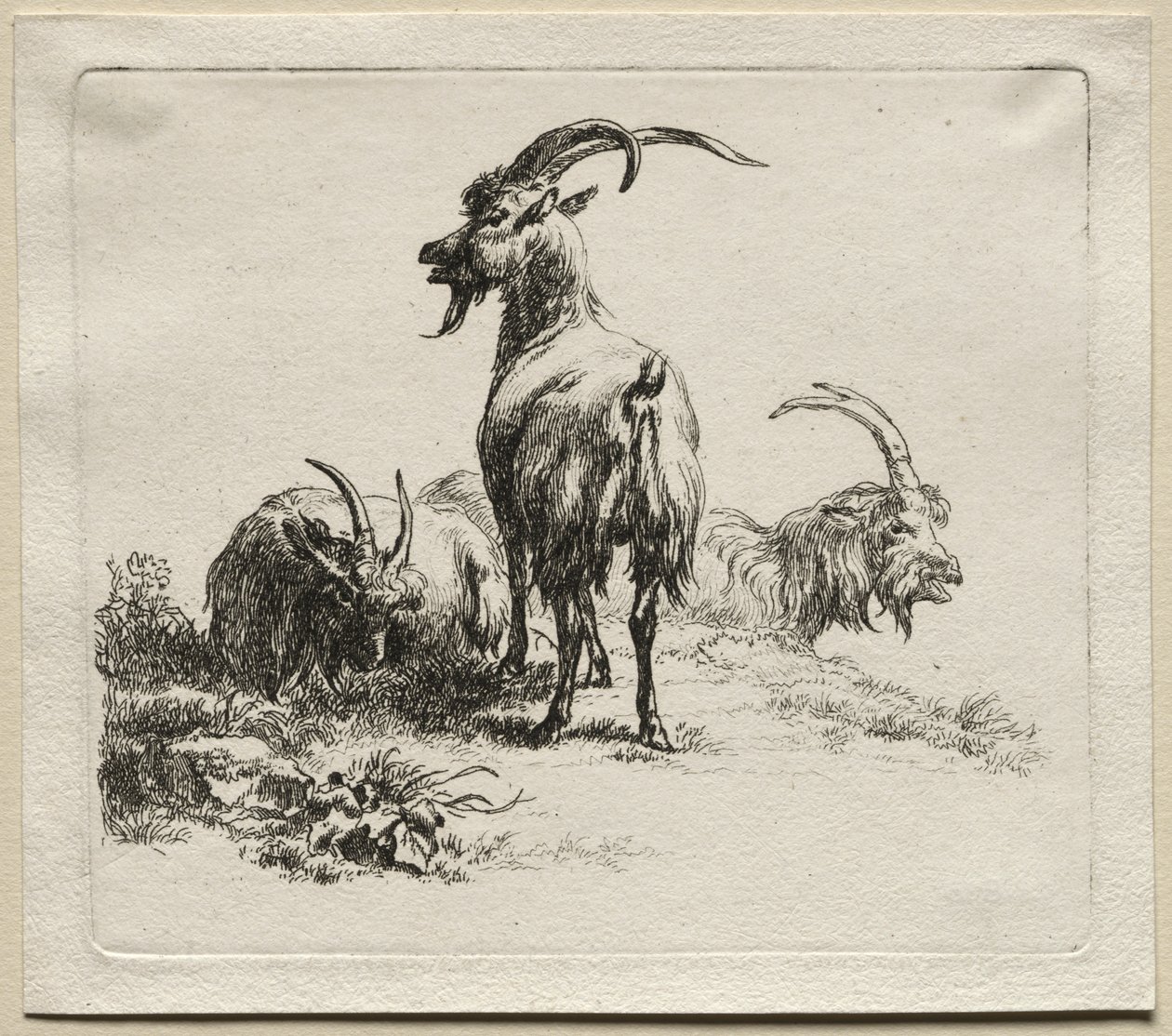 Dieren: Drie geiten door Nicolaes Berchem