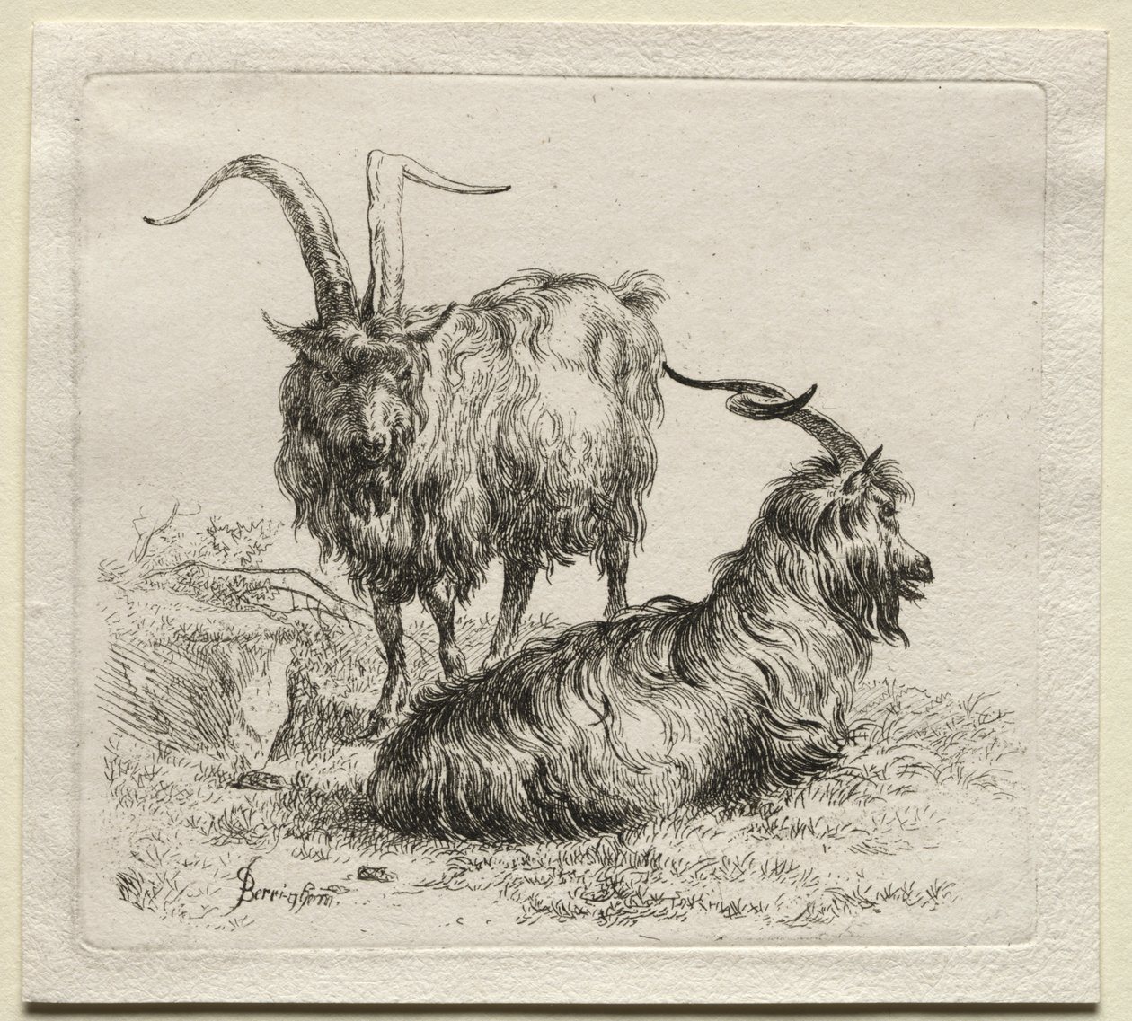 Animalia: Twee Geiten door Nicolaes Berchem