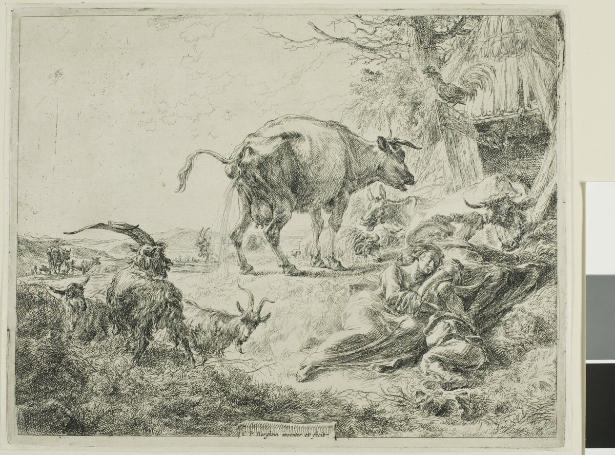 Koe die zichzelf verlicht door Nicolaes Berchem