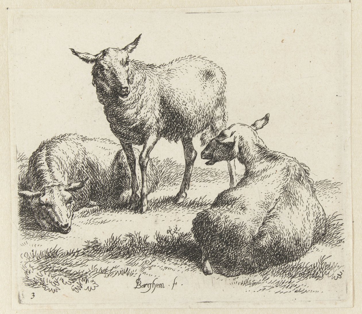 Drie schapen door Nicolaes Pietersz Berchem