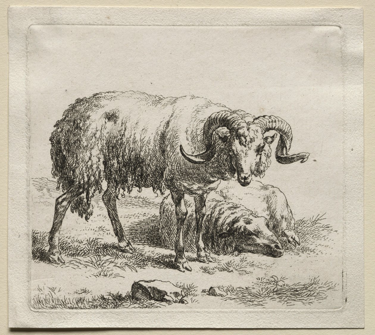Ram en schaap door Nicolaes Pietersz. Berchem
