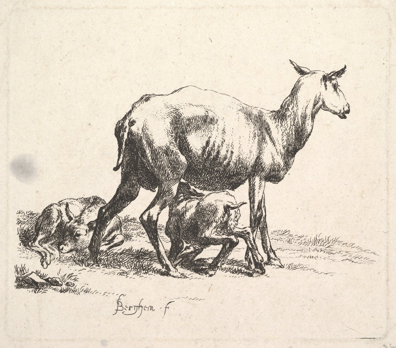Schaap met zogend lam door Nicolaes Pietersz. Berchem