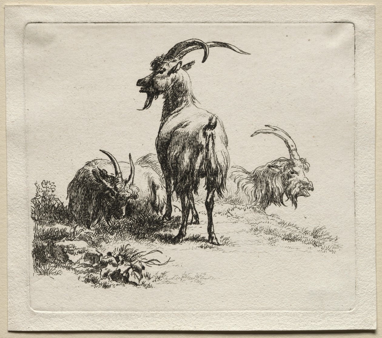 Drie Geiten door Nicolaes Pietersz. Berchem