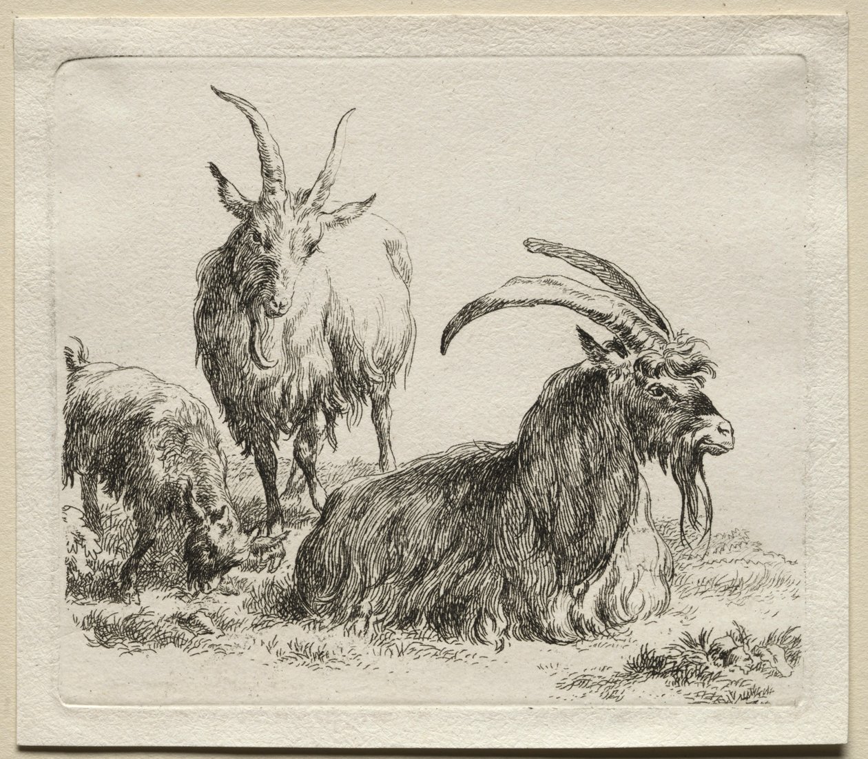 Drie geiten door Nicolaes Pietersz. Berchem